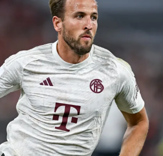 的微微宁静 的微微宁静