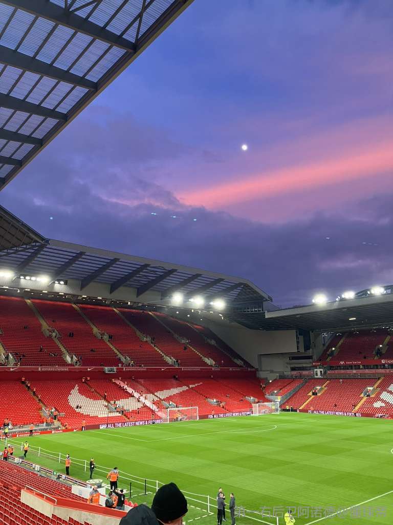 压迫强度的 压迫强度的