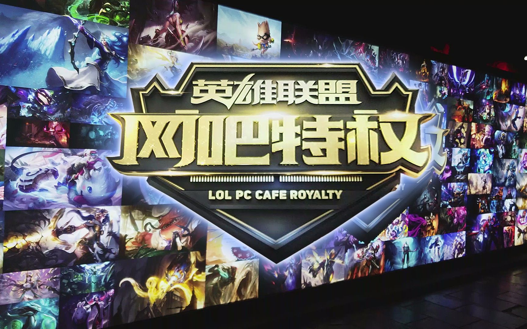 恩迪卡的态